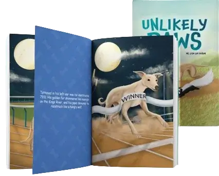 Amzn Book Publishing 