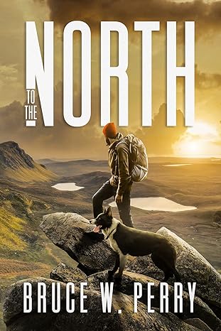 Amzn Book Publishing 