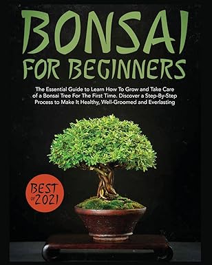 Amzn Book Publishing 